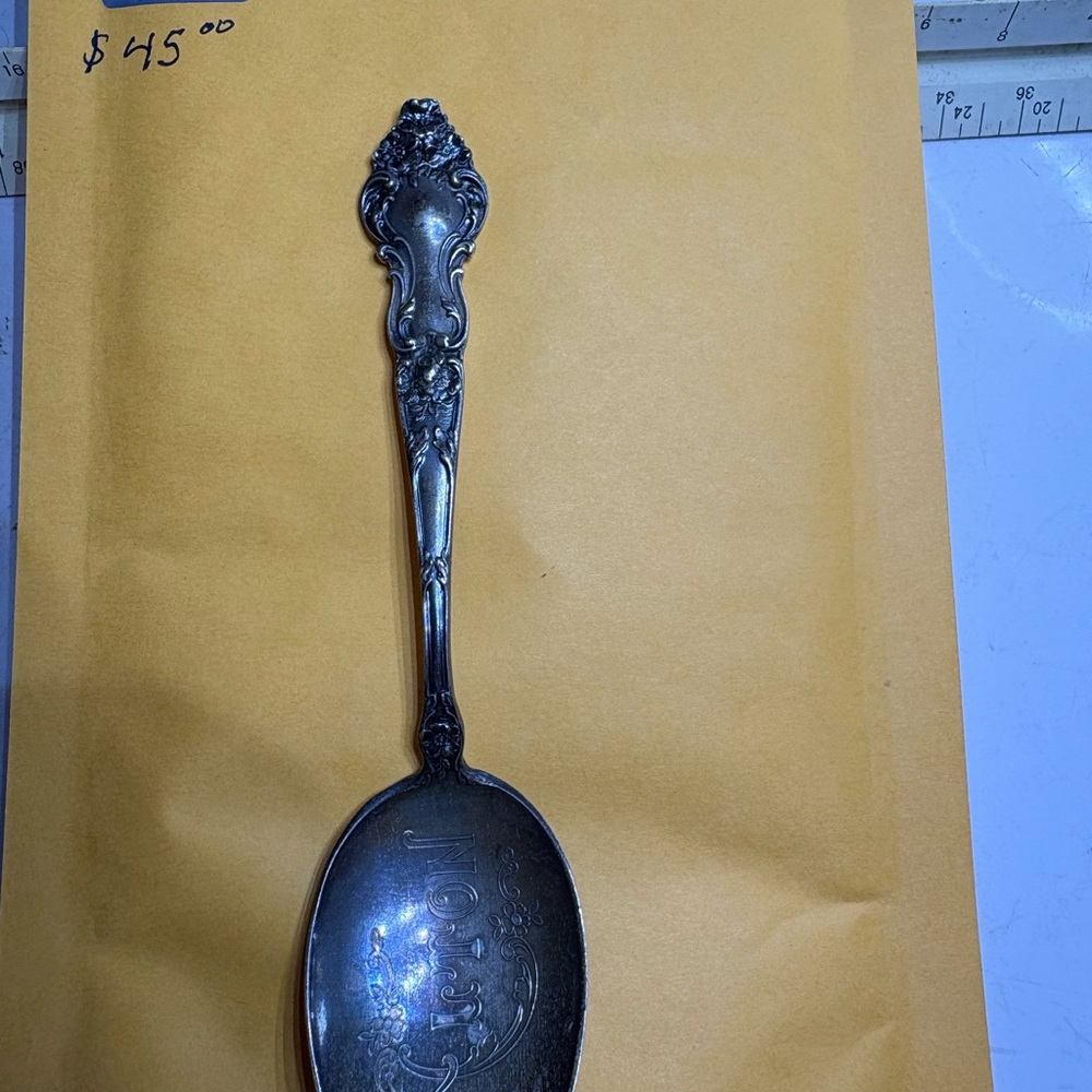Elegant Silver Spoon
